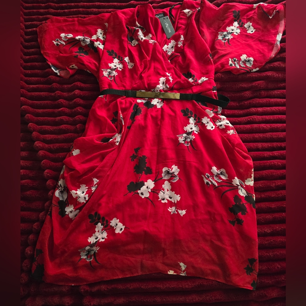Beautiful kimono style dress